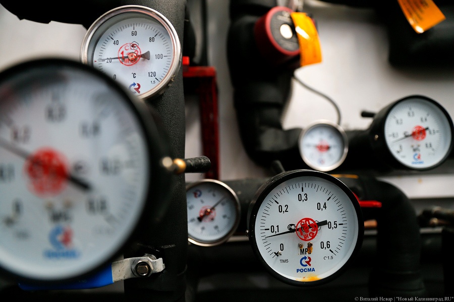 Фото — Виталий Невар, «Новый Калининград.Ru»