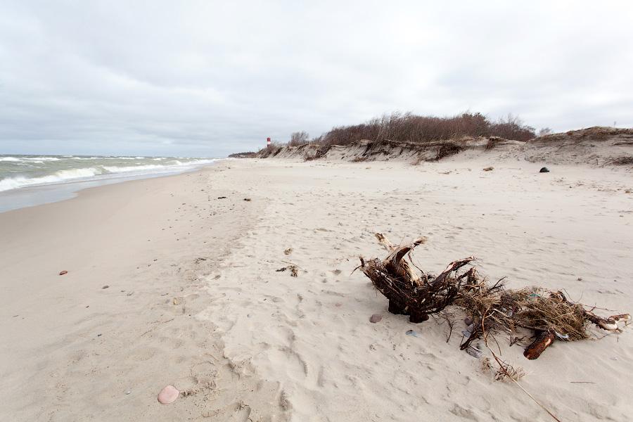 «Спасение косы: любительский вариант»: фоторепортаж «Нового Калининграда.Ru»
