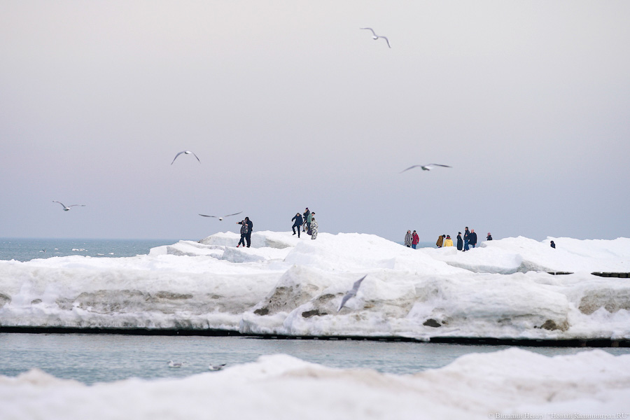 В Калининградской области массово гуляют по морскому льду, несмотря на запрет МЧС (фото)