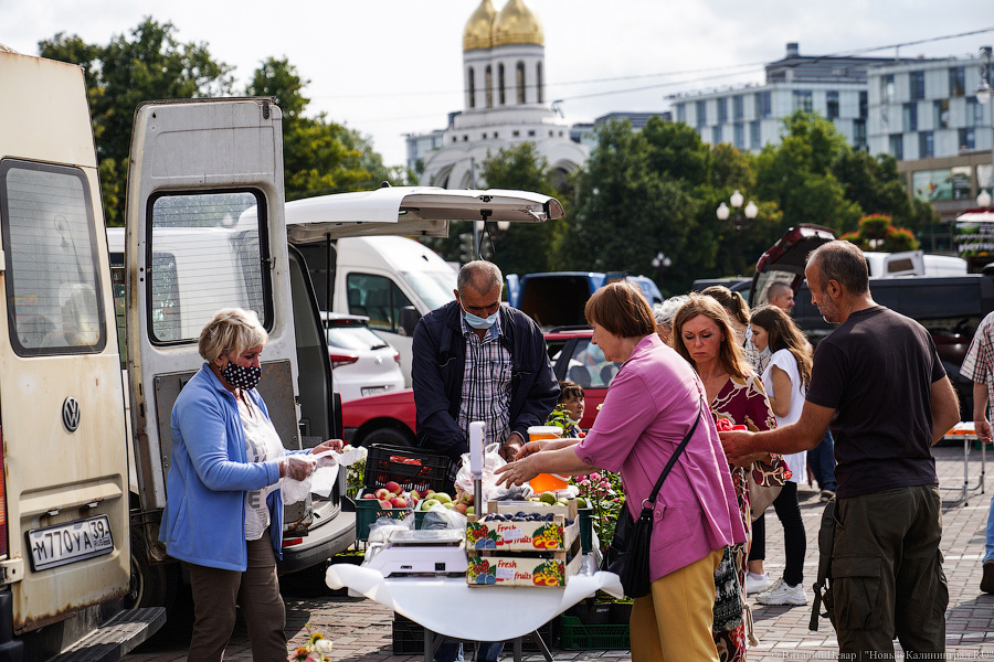 Базар-вокзал: как проходит сельхозярмарка на площади Победы в Калининграде