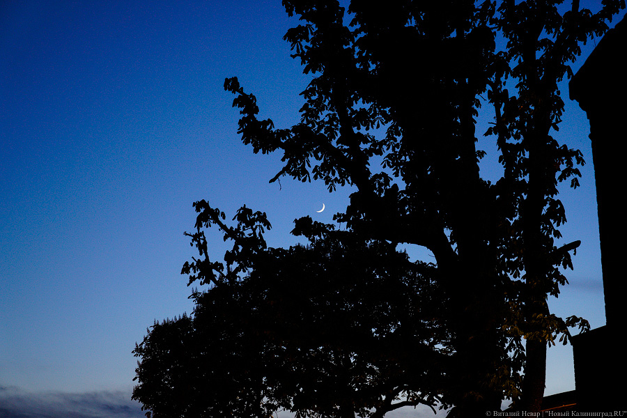 Избирательный COVID: как Музейная ночь стала праздником для одних и проблемой для других