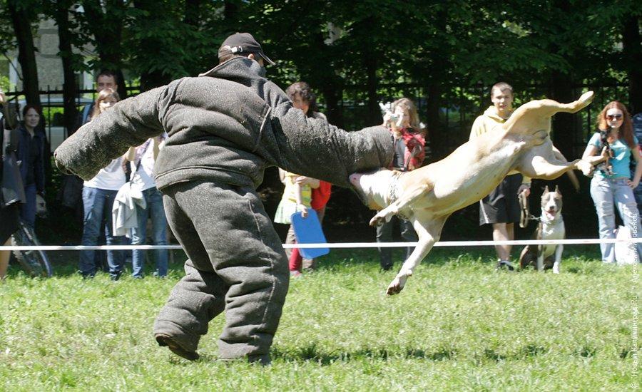 "Дворянское собрание": фоторепортаж "Нового Калининграда.Ru"