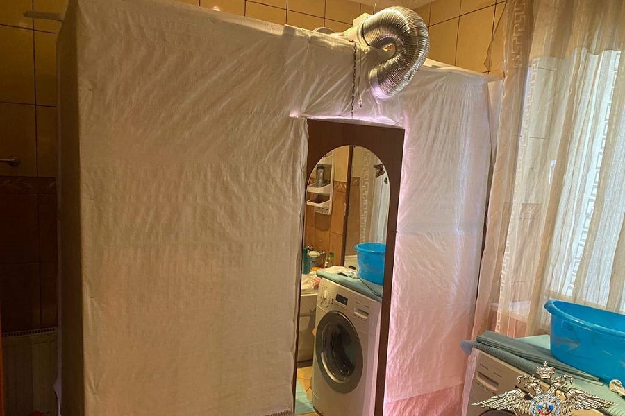 Житель Правдинска вырастил у себя дома в ванной плантацию конопли (фото)