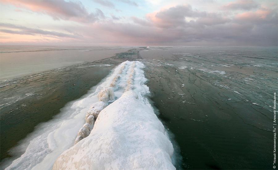 "Сцены у моря": фоторепортаж "Нового Калининграда.Ru"