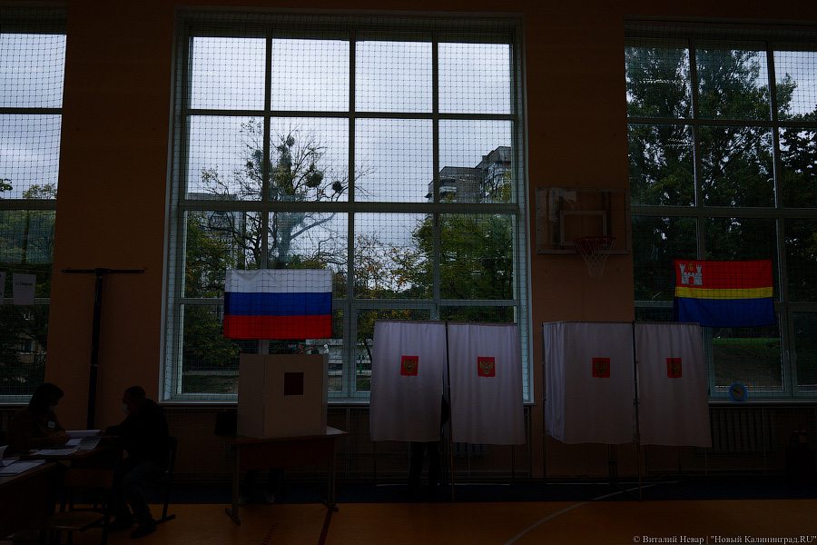 Калининградские общественники не нашли нарушений в ходе выборов в регионе