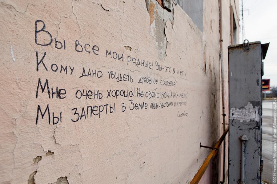 Судьба одного дома: заброшенное общежитие на Гвардейском проспекте