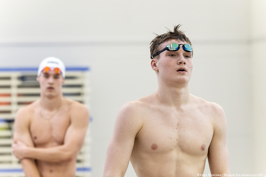 Легкой воды: как Калининград впервые принимал Кубок России по плаванию (фото)