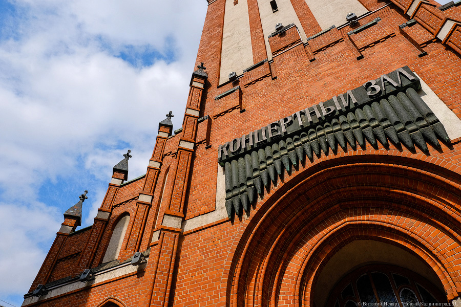 Фото: Виталий Невар / Новый Калининград