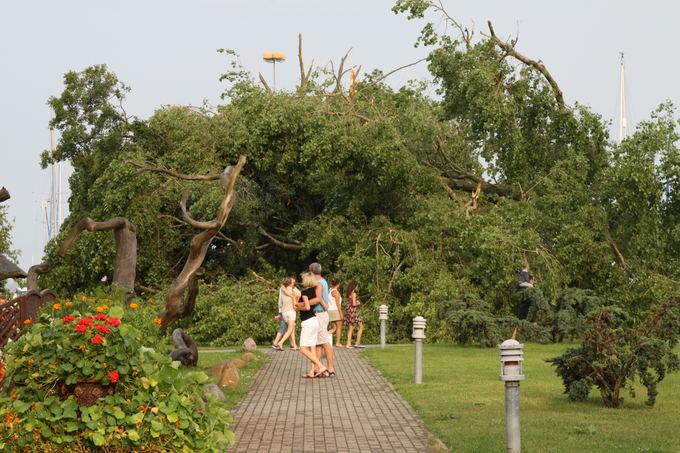 Шторм в Литве: на пляже Ниды ветер поднял в воздух коляску с ребенком (фото)