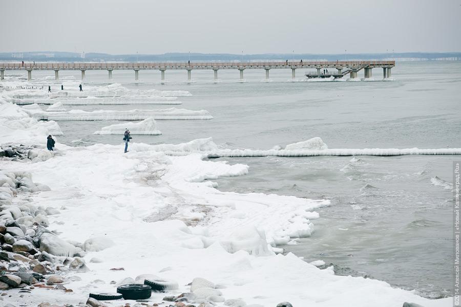 Недоморозило: холодам не удалось сковать льдом берег Балтийского моря