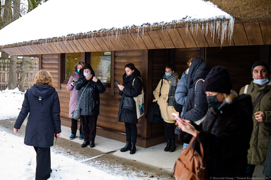 Проще — не всегда правильнее: в Калининградском зоопарке отремонтировали исторические вольеры (фото)