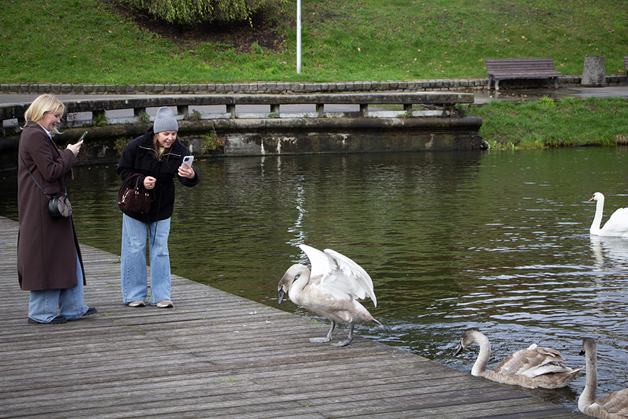 Погода в Калининградской области 29 октября