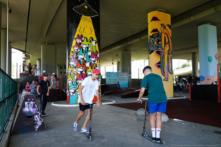 В Калининграде стало ещё одним скейт парком больше. Вот что там происходит