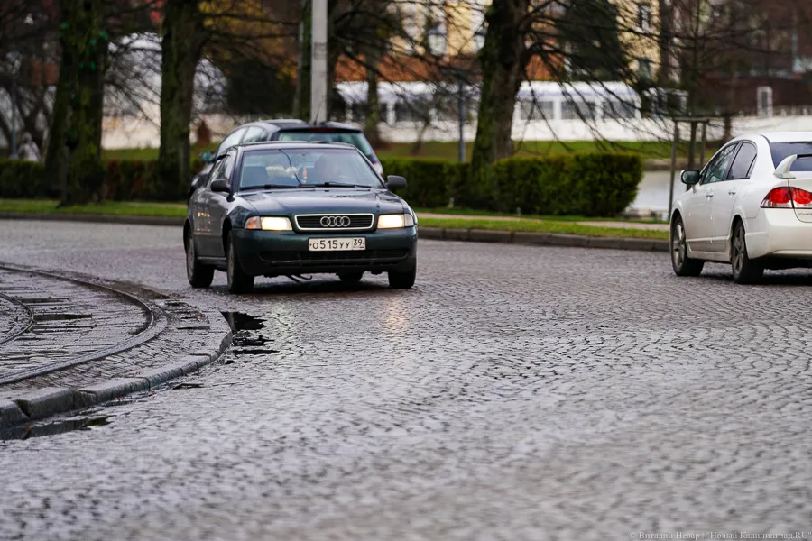 Дятлова: мы финансово не готовы к реконструкции улицы Тельмана