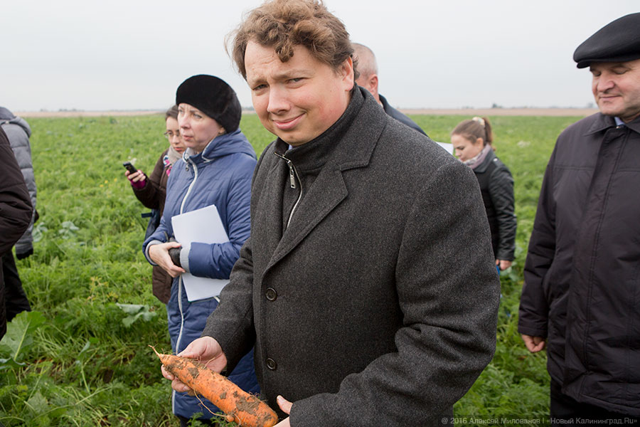 В правительстве назвали «действительно критичной» ситуацию в сельском хозяйстве