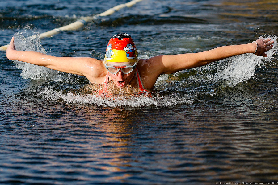 Время моржей: в  Калининграде прошли соревнования по зимнему плаванию (фото)