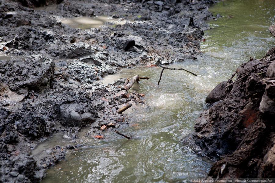 Около бывшей «Сказки» строители завалили глиной русло Паркового ручья (фото)