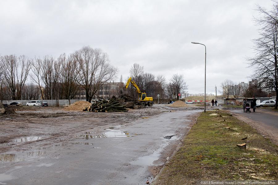 «Конец липовой аллеи»: на Гайдара из-за нового моста вырубают 261 дерево (фото)