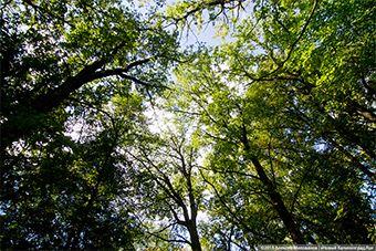 Фото из архива «Нового Калининграда.Ru»