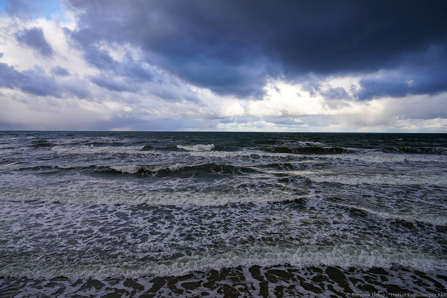 Игра в «Монополь»: как уничтожают авандюну при строительстве кафе в Зеленоградске (фото)