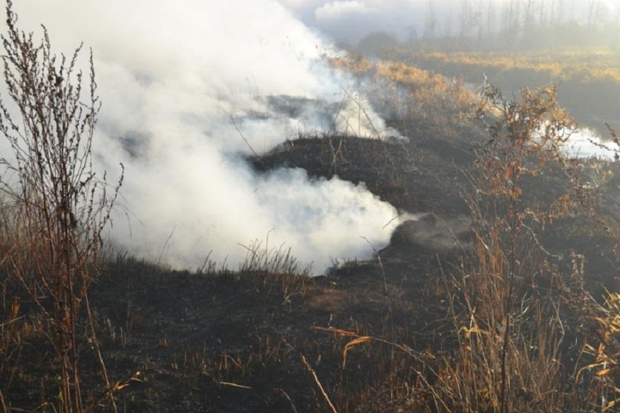45 тонн воды в час: несмотря на усилия пожарных, Калининград накрывает смогом