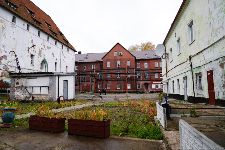 В зоне истории: первая экскурсия по замку Тапиау в фотографиях