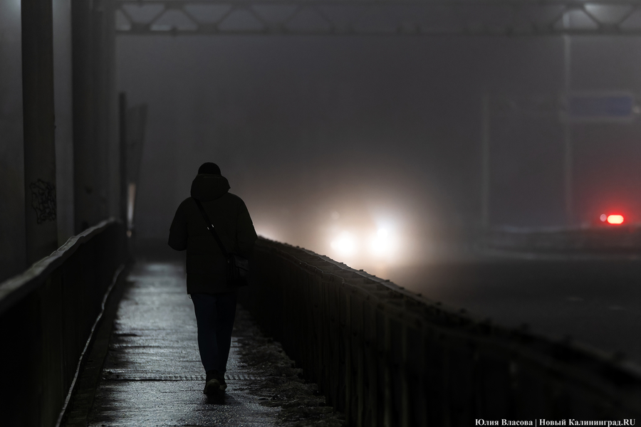 Туманно и почти безветренно: погода в Калининградской области 2 апреля