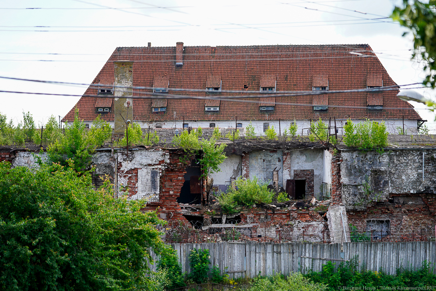 Виталий Невар / Новый Калининград