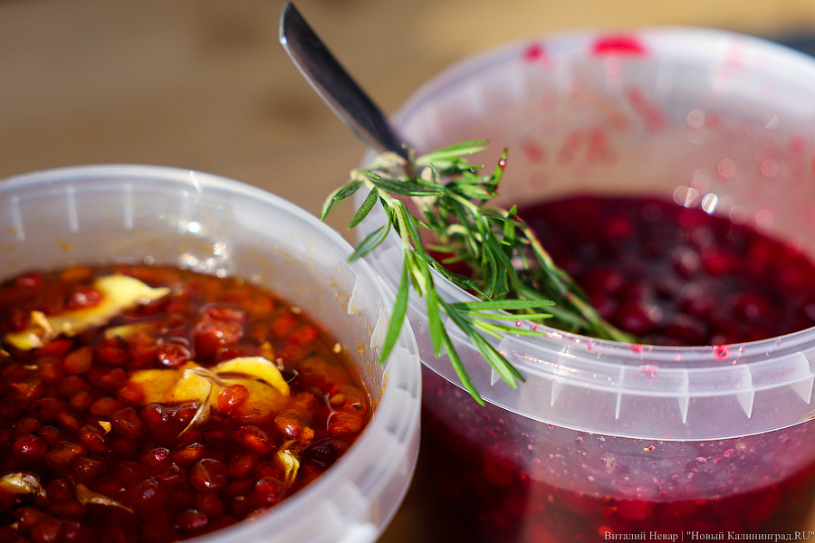 Шашлычок под медлячок: на острове Канта стартовала «Неделя еды и музыки» (фото)