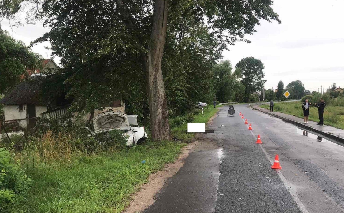В Полесске автомобиль «Рено» врезался в дерево, водитель погиб (фото)