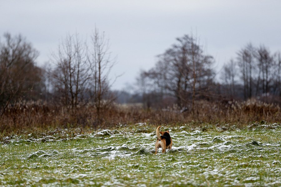 ЛЭП над головой: через дом многодетной семьи ведут электричество в «Храброво»