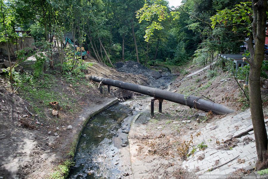 Около бывшей «Сказки» строители завалили глиной русло Паркового ручья (фото)