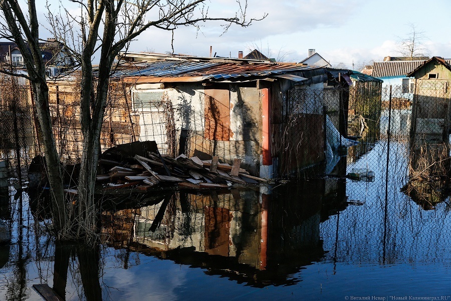 МЧС: в Калининграде за сутки выпало более трети месячной нормы осадков