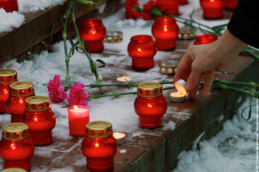 "Калининград-Домодедово": фоторепортаж "Нового Калининграда.Ru"