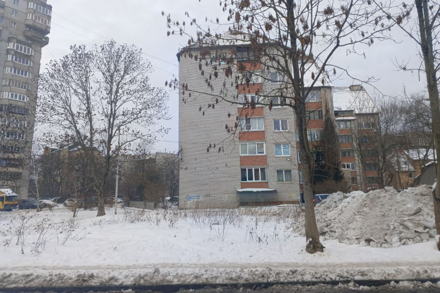 Участок у Ботанического сада на Беломорской сдали в аренду по итогам аукциона