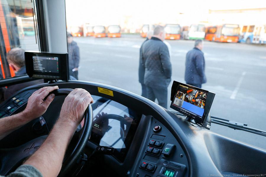 «Сделав шаг»: в Калининграде появились новые низкопольные автобусы (фото)