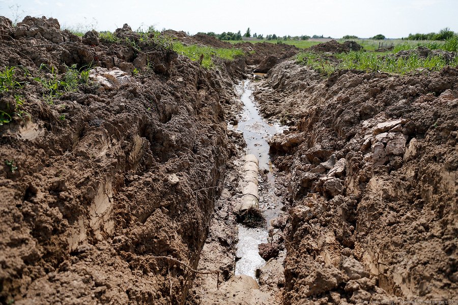 Бойня за землю: что мешает развиваться «Мираторгу» в Калининградской области