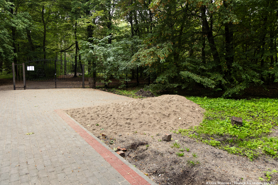 В Калининграде начали благоустраивать старое еврейское кладбище (фото)