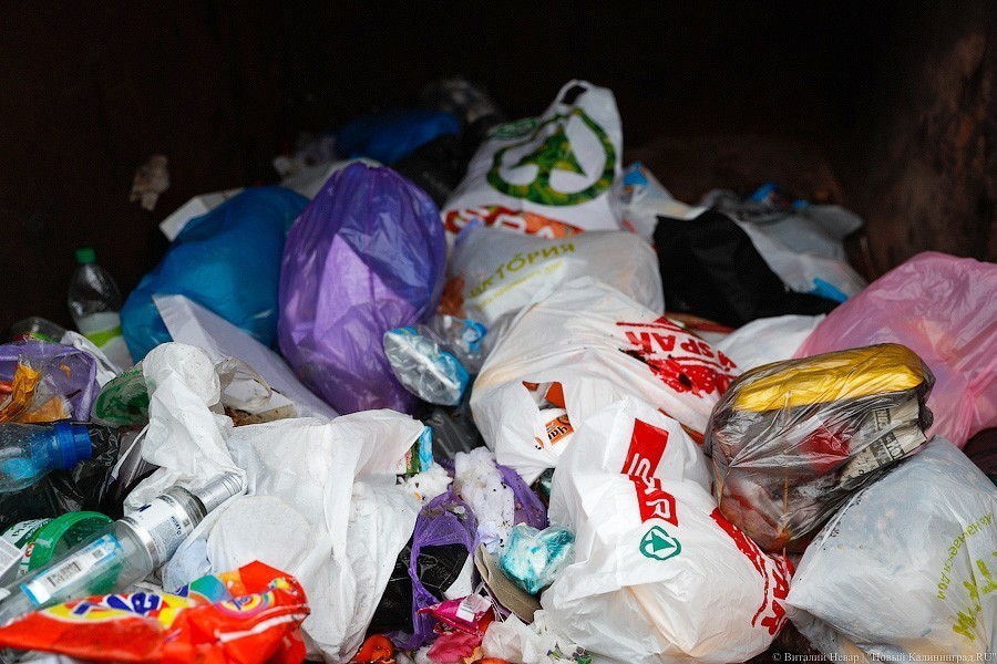 Власти Калининграда заявили о проблемах с вывозом мусора в выходные