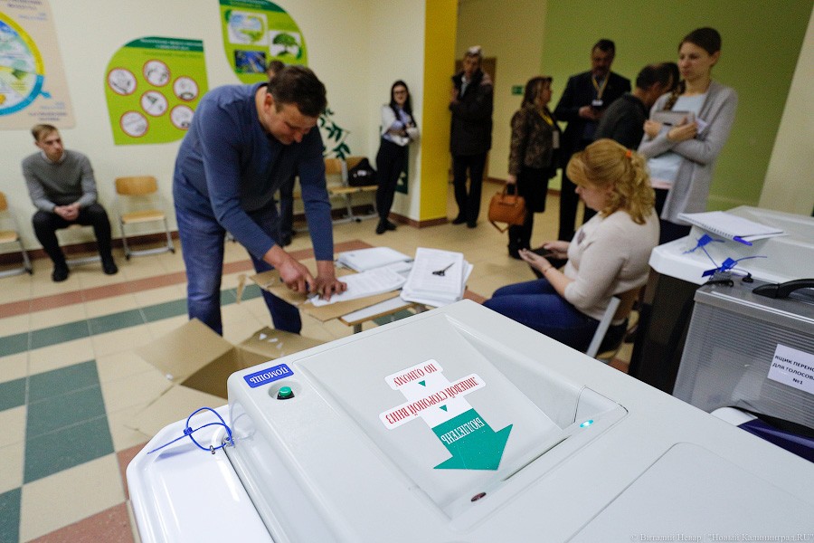 Легитимизируя данность: как в Калининграде проходил подсчет голосов (фото)