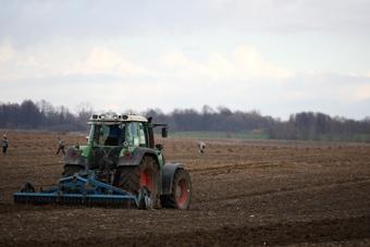СМИ: польские фермеры из-за заморозков потеряют до 90% будущего урожая 