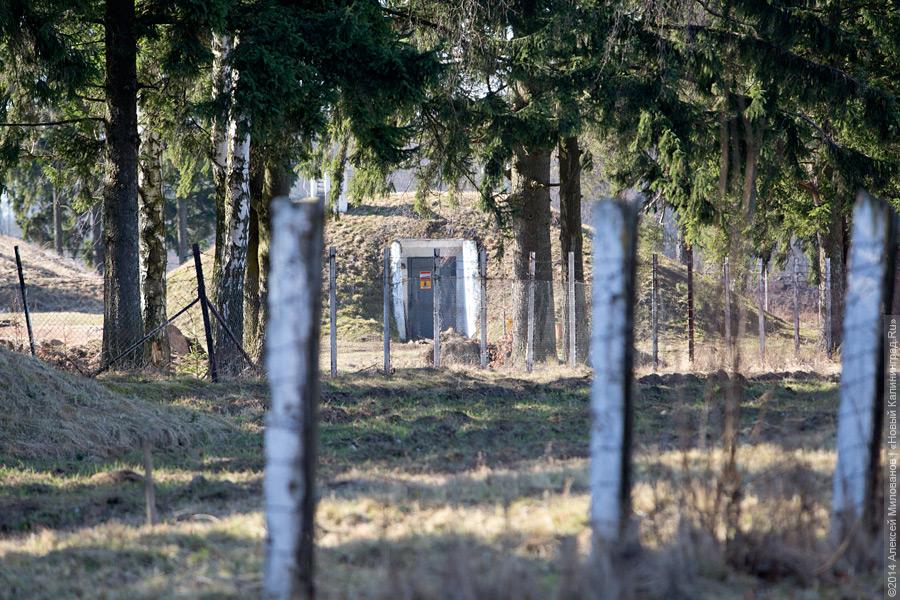 Любимый город «простого эксперта» Михайлова: что изменилось в Гусеве за последние годы