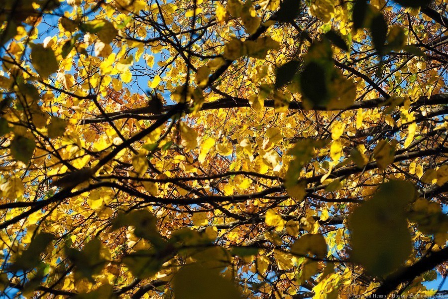 Метеорологи прогнозируют морозное начало недели и потепление к выходным