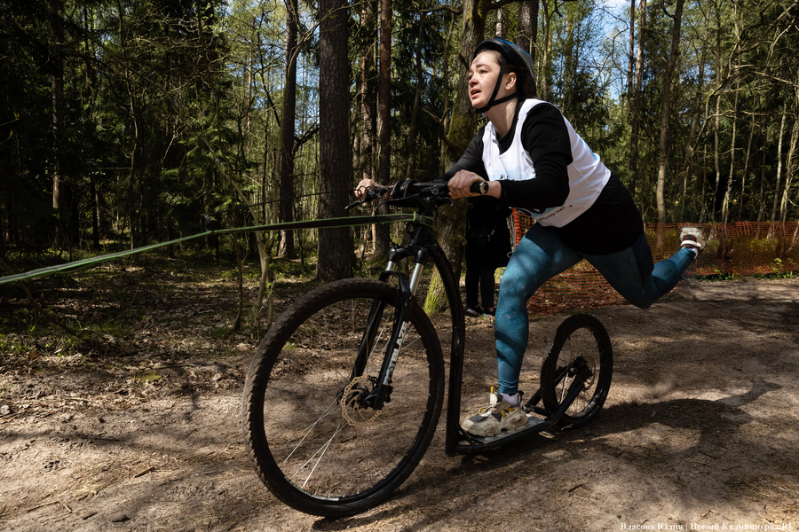 Совсем не Джек Лондон: как калининградцы с питомцами соревновались в ездовом спорте (фото)