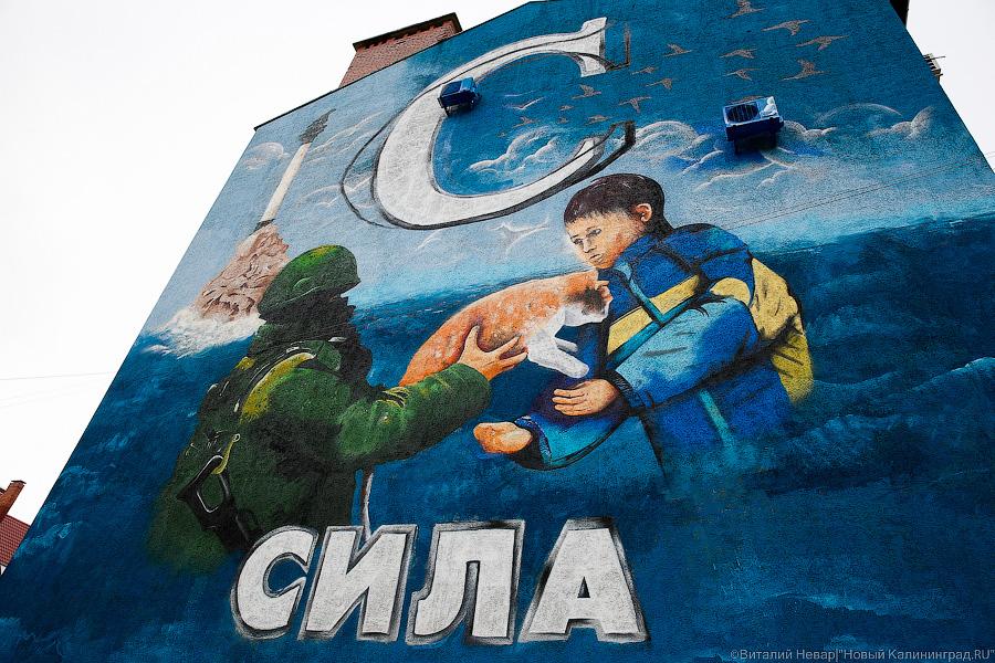 Вежливые люди и котик: судьба политического граффити о Крыме в Калининграде