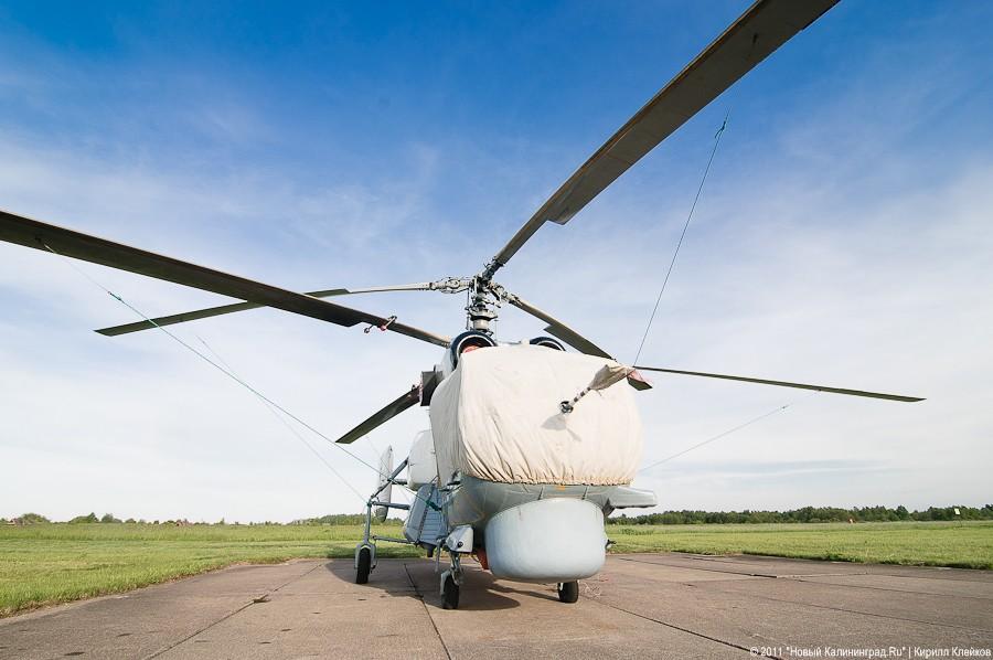 "Прилетит вдруг волшебник": фоторепортаж "Нового Калининграда.Ru"