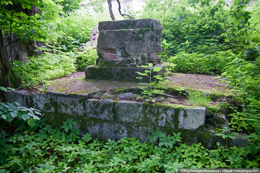 Легенды и лягушки: кирха в поселке Ново-Московское обрастает мхом и преданиями