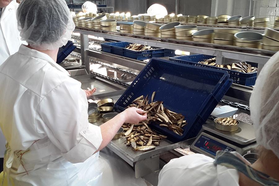 Калининградская килька в томате победила в рейтинге Роскачества