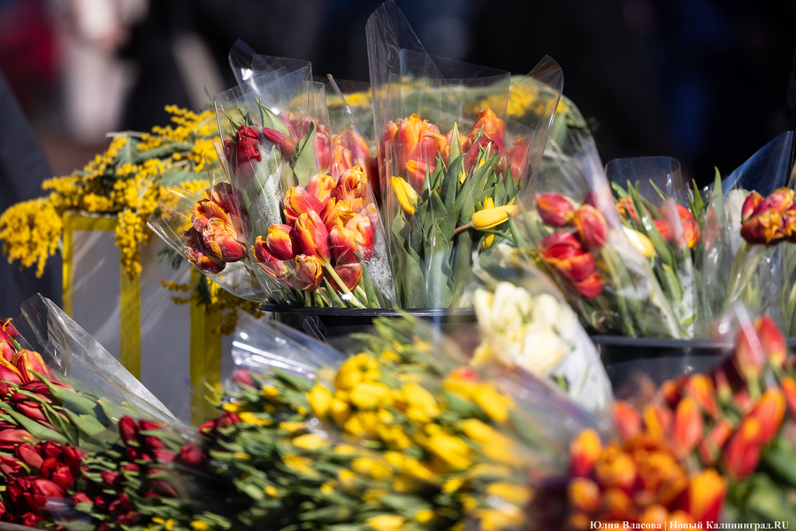 Цветочные баррикады: как выглядят улицы Калининграда 8 марта (фото)