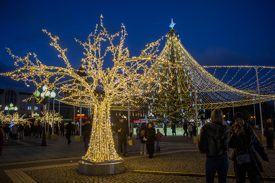 Облвласти предложили назначить дедлайн для украшения городов к Новому году
